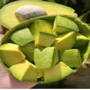 Médicos revelan que el consumo de AGUACATE produce…