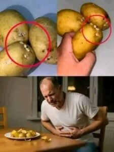 Medicos revelan que el consumo de PAPA produce…