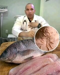 Medicos avisan, comer pescado eleva la… Ver más